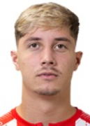 Miculescu D.