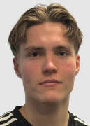 Heikkinen D.