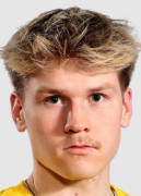 Hanninen V.
