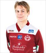 Vidjeskog A.