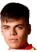 Vicente Conelli