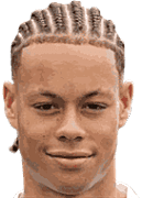 Scherhant D.
