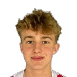 Sondergaard P.