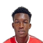 Lebi O.