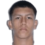 Coronel Gomez M. A.