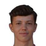 Zrnec J.