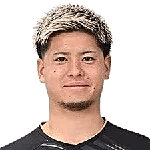 Hiraoka M.
