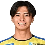 Iwasaki H.